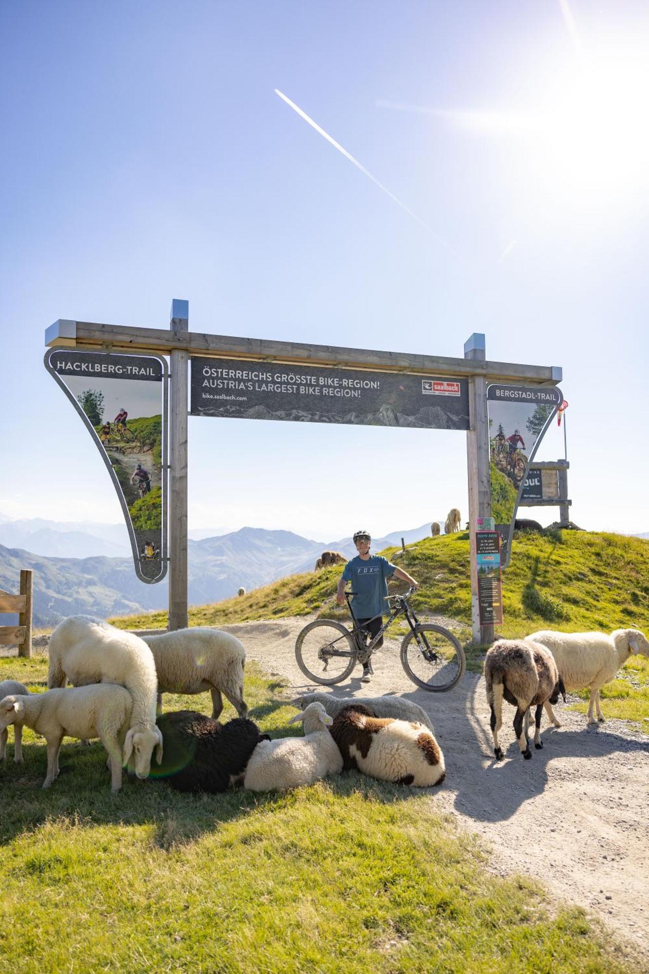 Landhaus Saalbach - Joker Card Included In Summer Bed and Breakfast Esterno foto